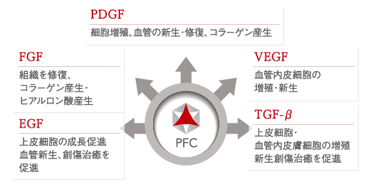 PFCの５つの作用図解